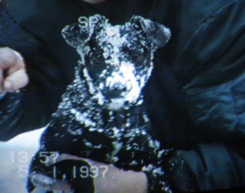 Florcia w latach 1996-1997
(zdjęcia zrobione podczas oglądania kasety VHS )