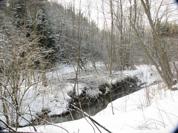 Bieszczady