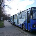 Ikarus należący do spółki KZK GOP jedzie na przystanek Katowice Ochojec Pętla #Ikarus #Katowice