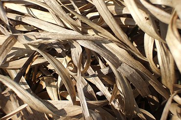 #jezioro #woda #piórka #ludzie