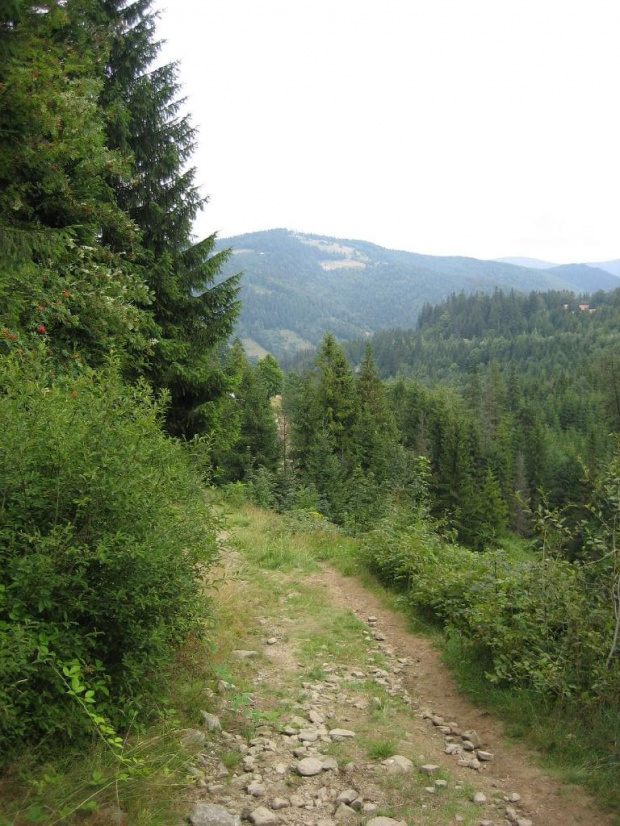 szlak Biały Krzyż (przeł. Salmopolska) - Szczyrk Solisko #góry #Beskidy #BeskidŚląski #Szczyrk