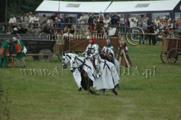 Inscenizacja Bitwy pod Grunwaldem 15.07.2006r.
www.ANWOMEDIA.pl