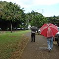 #Hawaii #wyspa #natura #wulkany #ludzie #ptaki #ocean #lawa #drzewa #kwiaty #niebo #most #deszcz #chmury