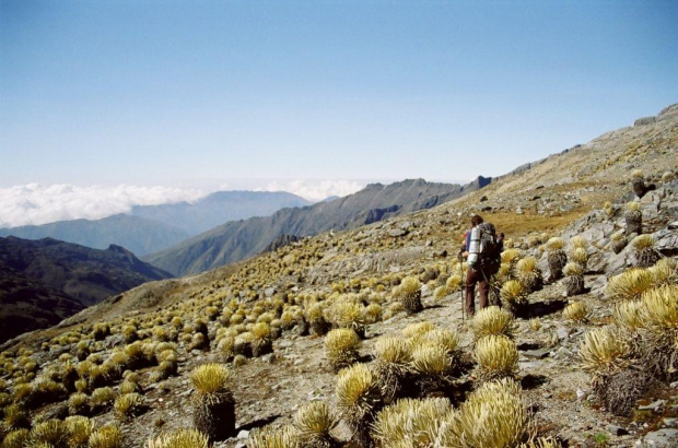 sierra nevada de merida, la travesia