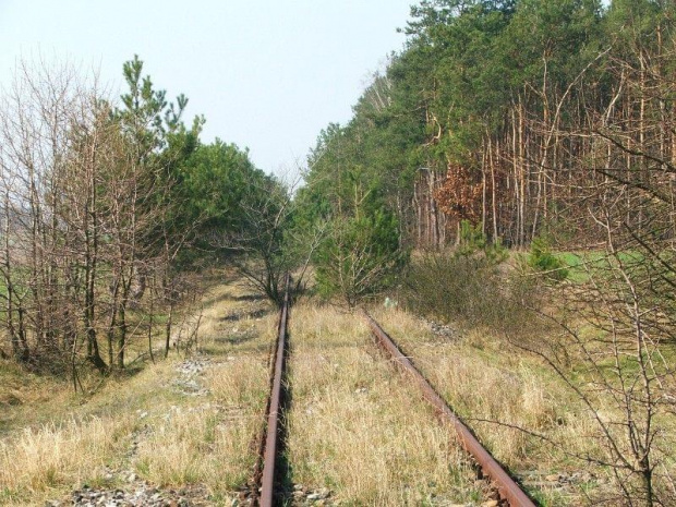 Linia kolejowa Bąkowiec - Puławy #Zdunków