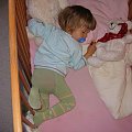Ulubiona pozycja Wiki podczas oglądania zasypiania