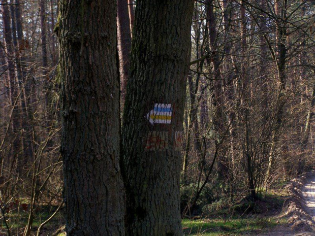 Fotorelacja z wycieczki rowerowej po Szlaku Bursztynowym z GRT w okolicach Gdańska