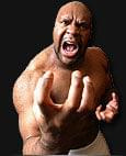 bob sapp