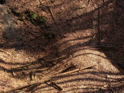 Fotorelacja z wycieczki rowerowej po Szlaku Bursztynowym z GRT w okolicach Gdańska