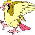 pokemon