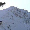 Tatry marzec 2007 - zdjęcia Chódego :)