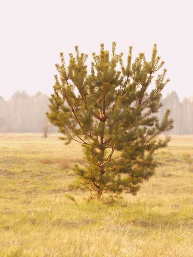 zdjecia w wiekszosci zrobione przez filipa, moje tylko dwa :)