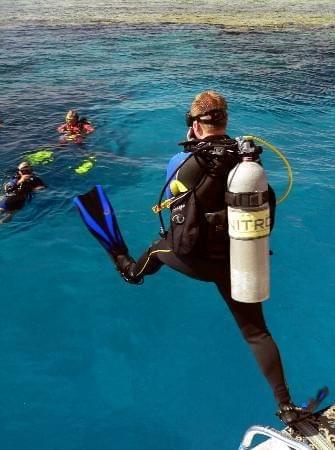 Taking the plunge in temple reef (reef of the hotel) #diving #Egipt #egzotyka #fauna #flora #gady #WielkiBłękit #morze #MorzeCzerwone #natura #nurkowanie #PodWodą #płazy #przyroda #rafa #ryba #ryby #snorkling #snurkowanie #ssaki #woda