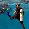 Taking the plunge in temple reef (reef of the hotel) #diving #Egipt #egzotyka #fauna #flora #gady #WielkiBłękit #morze #MorzeCzerwone #natura #nurkowanie #PodWodą #płazy #przyroda #rafa #ryba #ryby #snorkling #snurkowanie #ssaki #woda