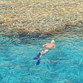 Stew snorkelling and loving it! #diving #Egipt #egzotyka #fauna #flora #gady #WielkiBłękit #morze #MorzeCzerwone #natura #nurkowanie #PodWodą #płazy #przyroda #rafa #ryba #ryby #snorkling #snurkowanie #ssaki #woda
