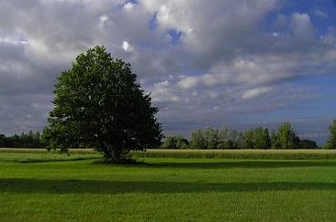 Fotki do Klubu #pejzaż #mazowsze