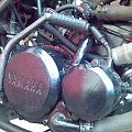 silek dt80