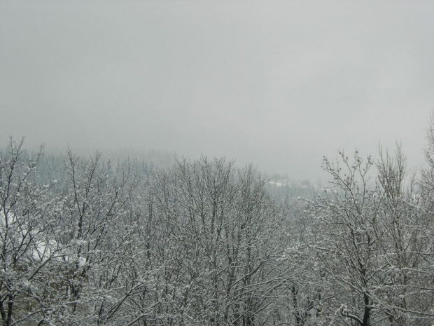 Zakopane