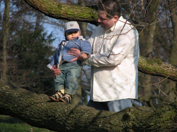 spacerek w Gołuchowie kic na drzewo