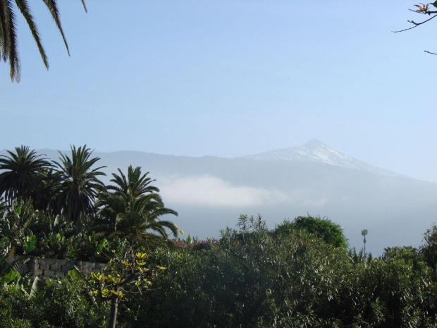 zwiedzanie Puerto de la Cruz - widok na Teide