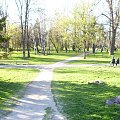 Park #ChełmPark